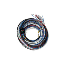 Load image into Gallery viewer, FuelTech FT550 EFI
