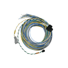 Load image into Gallery viewer, FuelTech FT550 EFI
